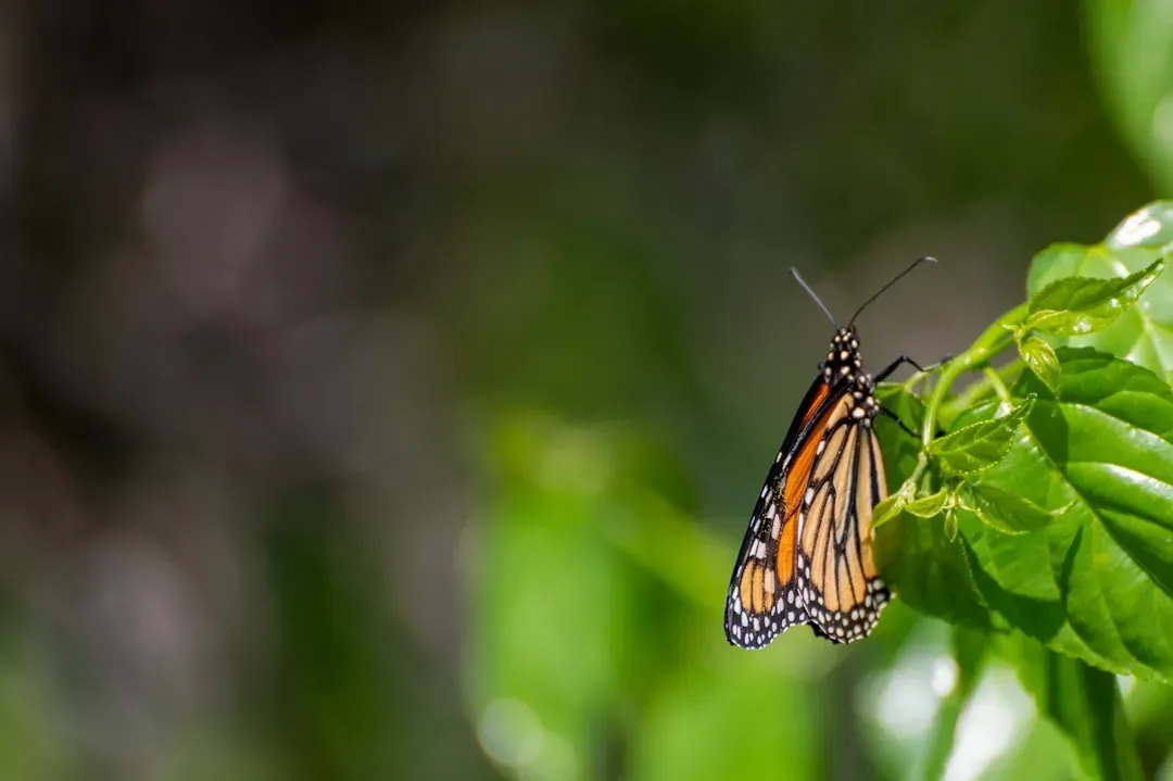 Flying on Genes, Not Memory (Image Credits: Unsplash)