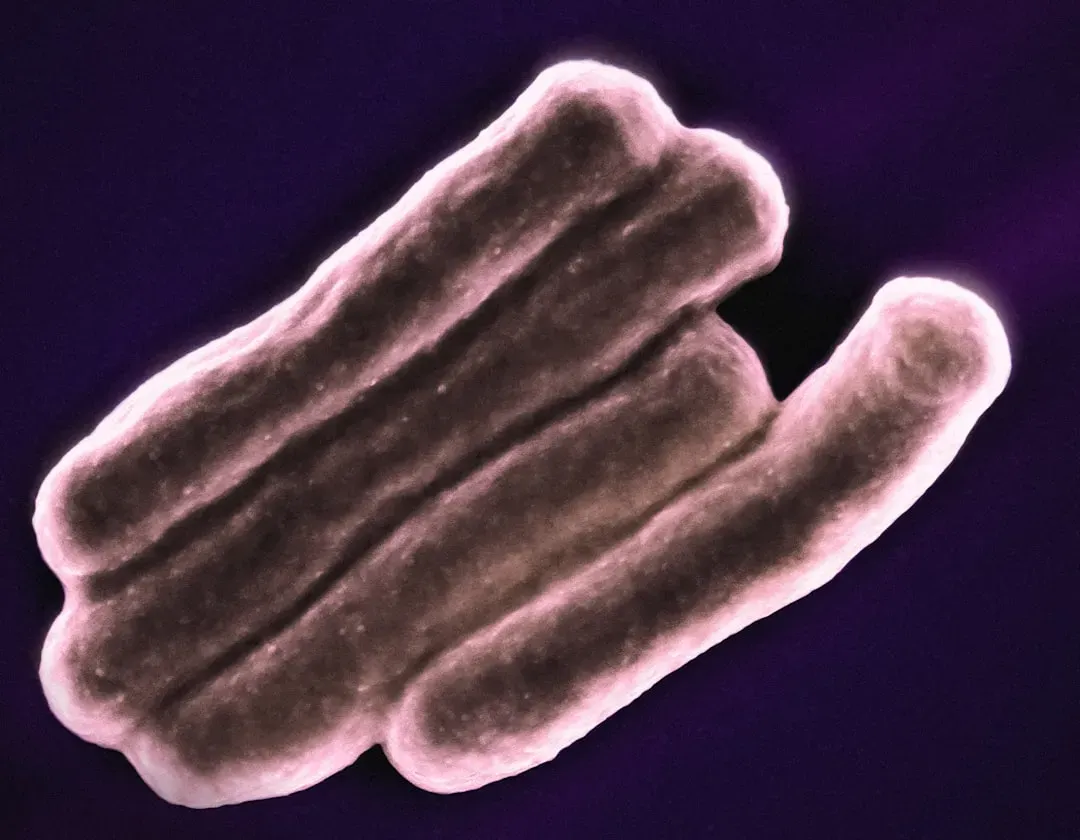 Telomeres, Metabolism, and the Biological Keys to Extended Life (Image Credits: Unsplash)