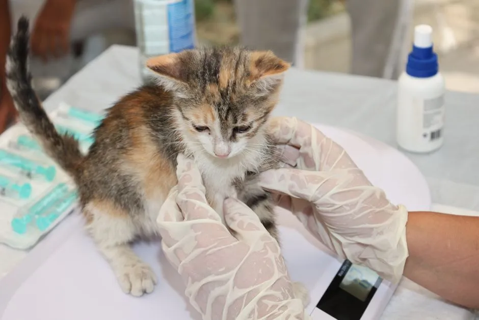 #4 - Reaction to Gentle Palpation (Silent Flinches and Tense Muscles) (Image Credits: Pexels)