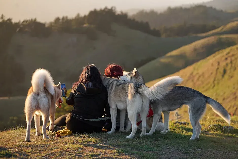 6. The Pack Animal Who Hates Being Alone (Image Credits: Pexels)