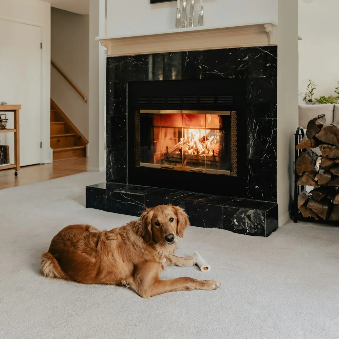 6. Routine Changes: New Schedules, Furniture Rearrangements, or Household Upgrades (Image Credits: Unsplash)
