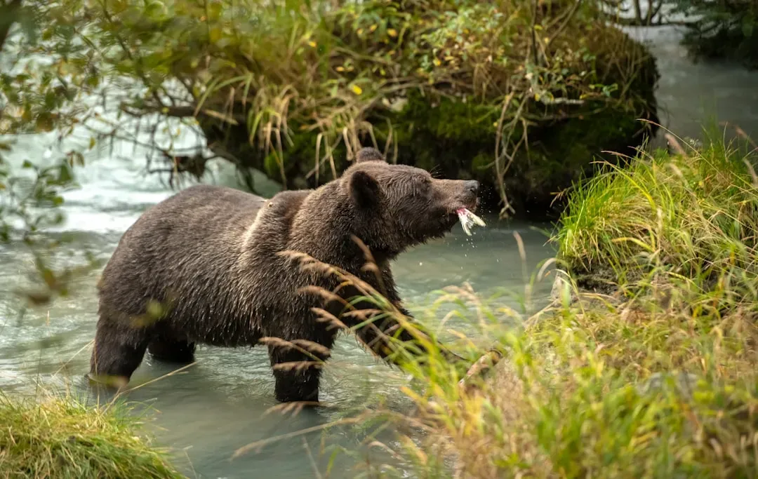 What About Climate Change and Habitat? (Image Credits: Unsplash)