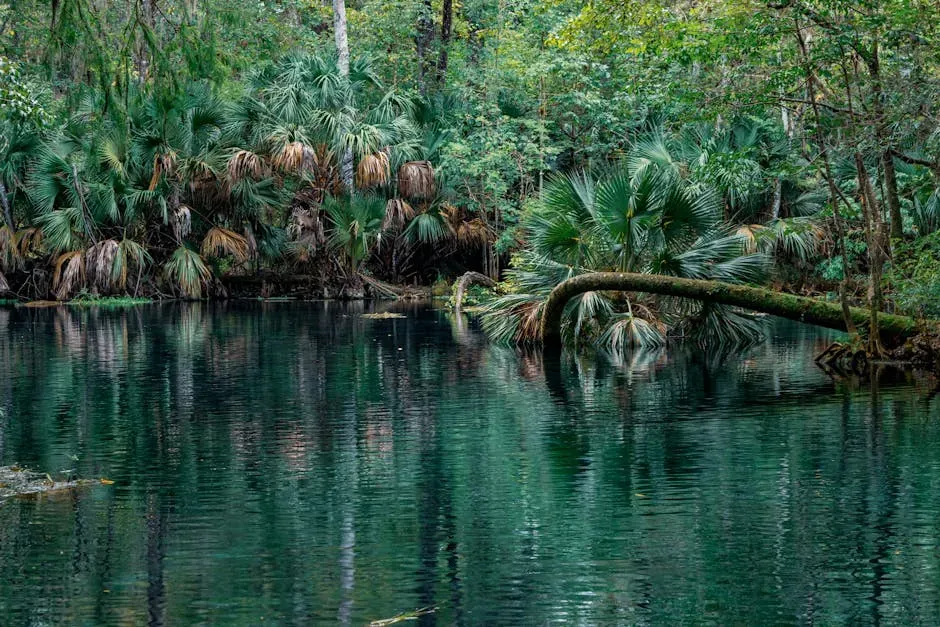 Conclusion: A Forest That Still Holds the Wild (Image Credits: Pexels)
