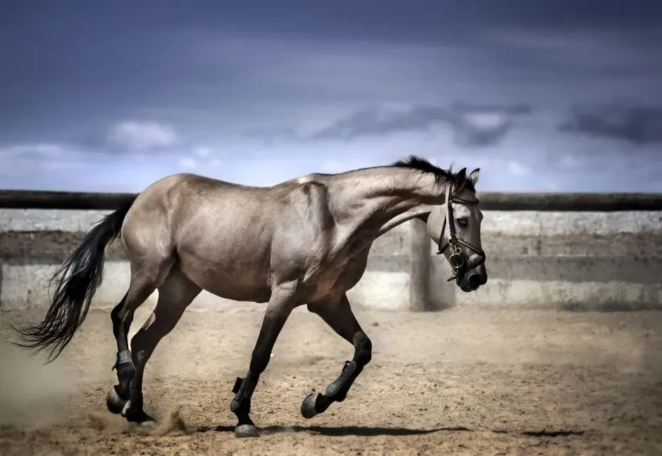 #5 – Quarter Horse (Image Credits: Pexels)