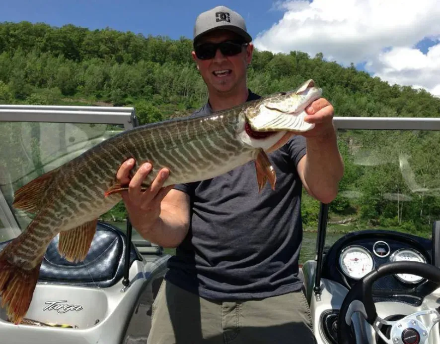 11. Muskellunge: The Fish of Ten Thousand Casts (By U.S. Army Corps of Engineers, Public domain)
