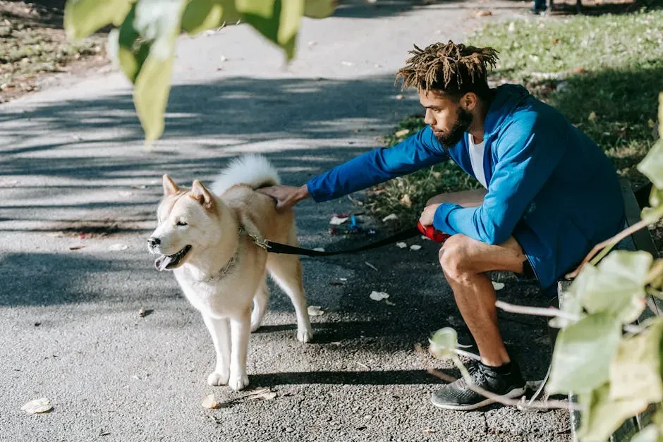 What This Means for You and Your Dog's Wellbeing (Image Credits: Pexels)