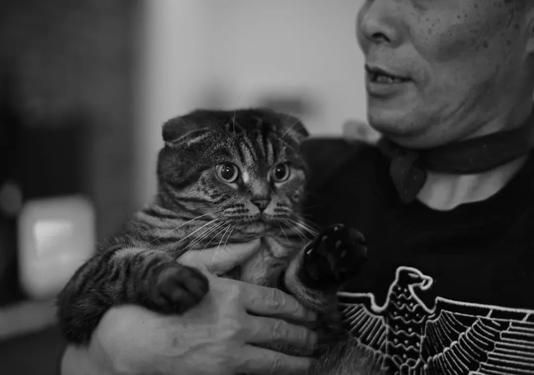 Social Connection and Emotional Bonding That Surprises Everyone (Image Credits: Unsplash)