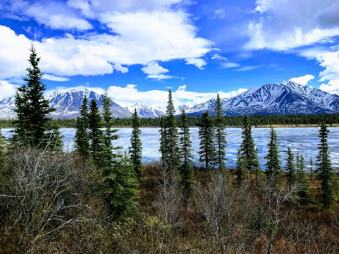 Alaska: Beautiful Wilderness, Isolated Residents (Image Credits: Unsplash)