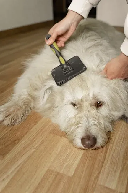 #4. You Brush Your Dog's Coat Regularly (Image Credits: Pexels)