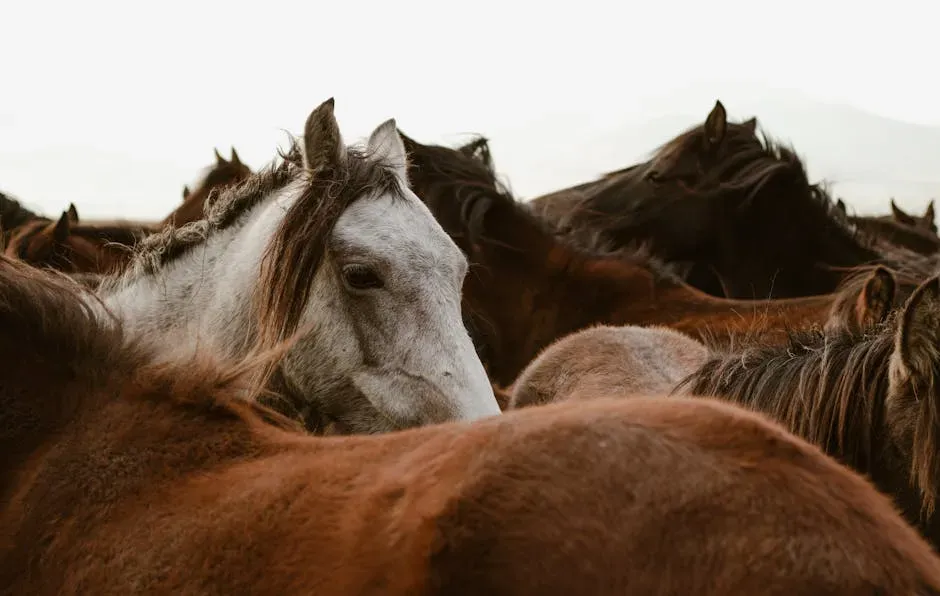 5. Wild Mustangs Transformed Native American Cultures Almost Overnight (Image Credits: Pexels)