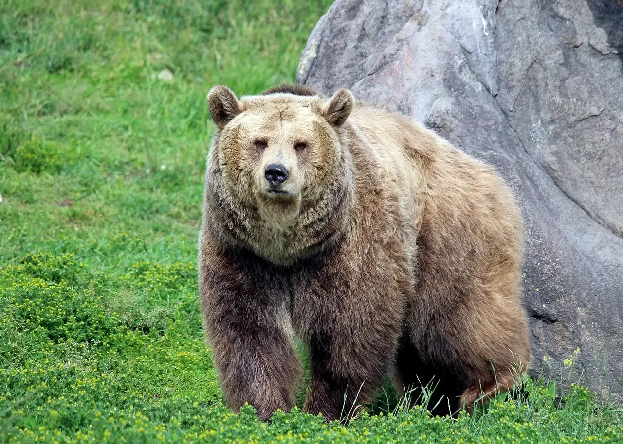 Alaska: America's Most Dangerous Frontier (Image Credits: Pixabay)