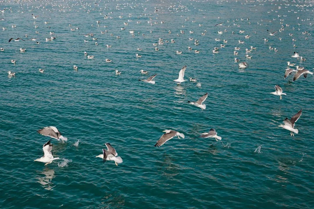 The Ocean's Daily Vertical Migration: The Largest Migration You've Never Heard Of (Image Credits: Unsplash)