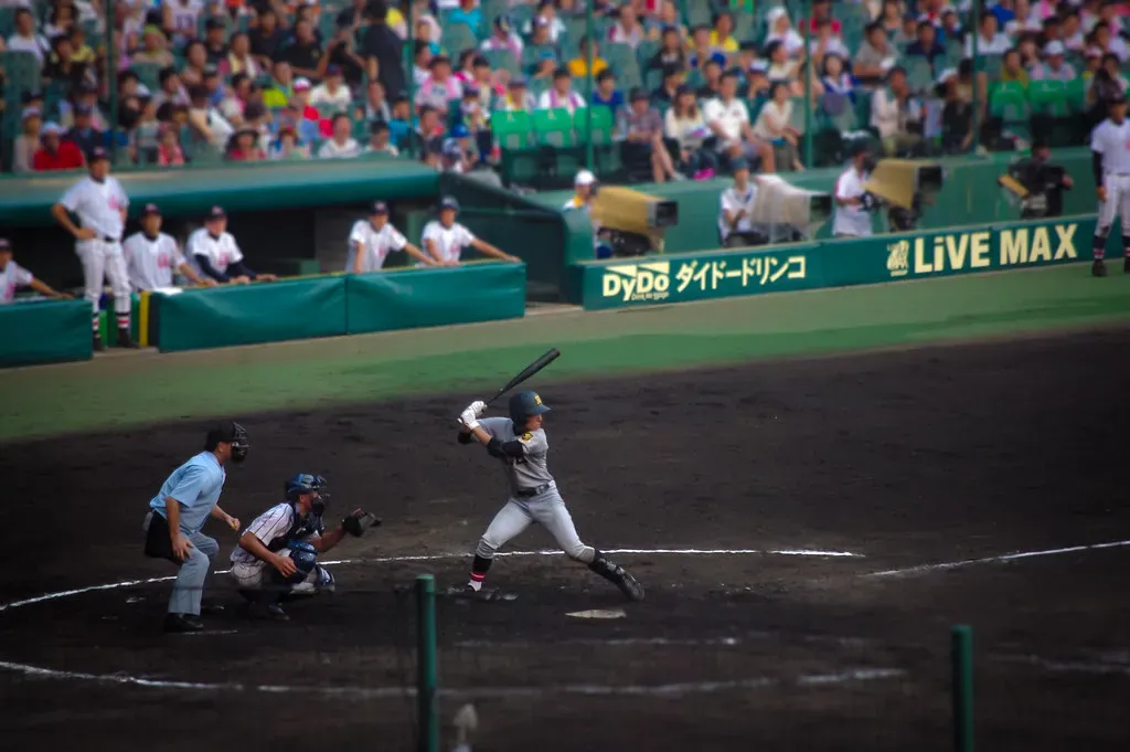 Baseball Is More Popular Than Sumo (Image Credits: Flickr)