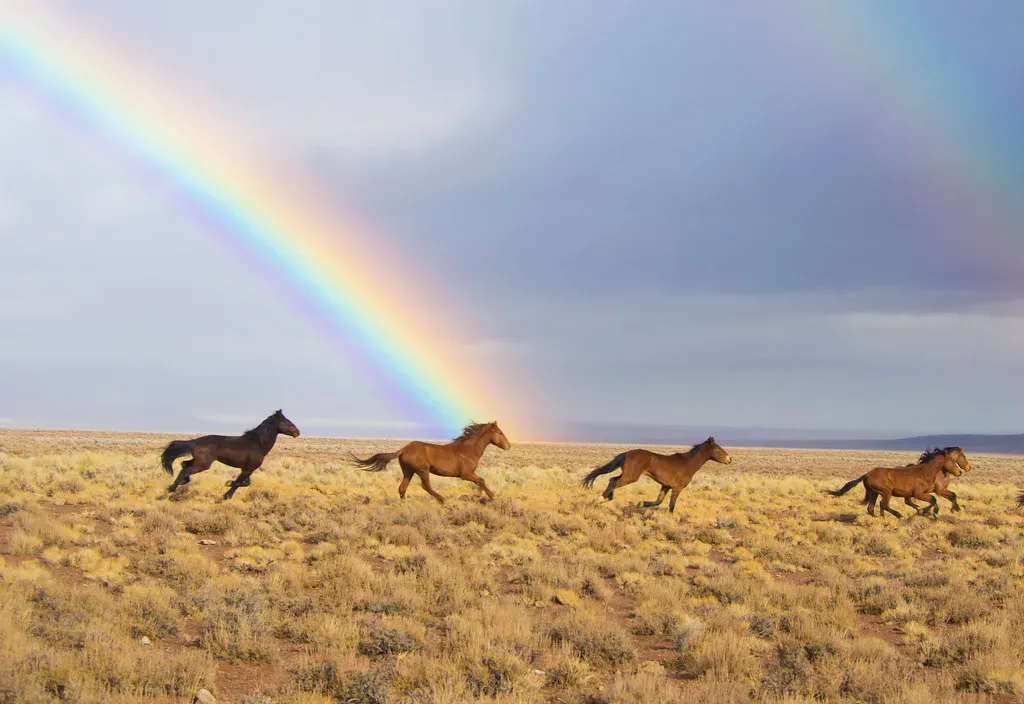 Nevada Leads the Way with Innovative Solutions (Image Credits: Flickr)