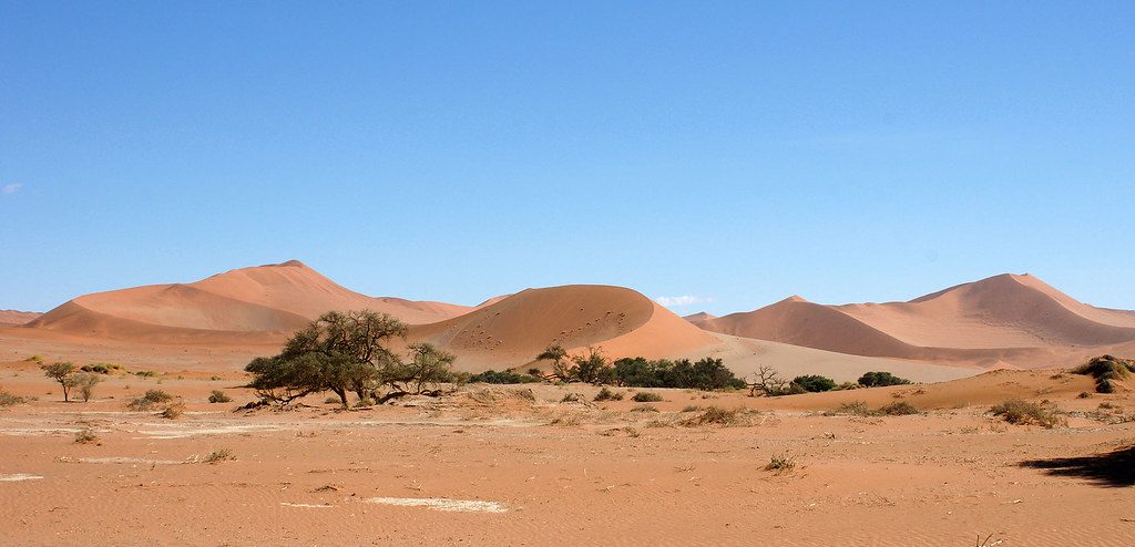 Namibia's Vast Desert Adventures (Image Credits: Flickr)