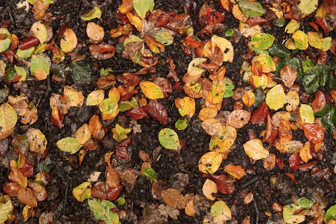 #9: Start Composting (Image Credits: Unsplash)