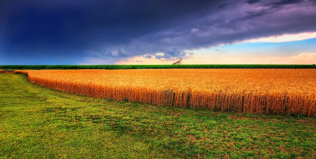 The Midwest Is Far More Than Flyover Country (Image Credits: Flickr)