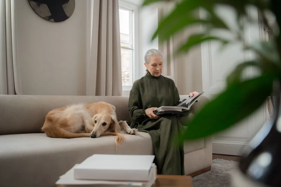 #21 - Greyhound: The 40-mph Couch Potato That Actually Fits Your Sofa (Image Credits: Pexels)