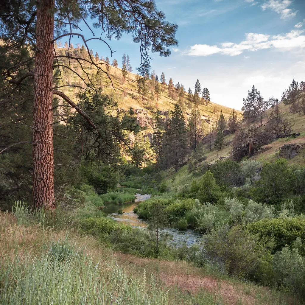 The Current State of Crosier Mountain Trail (Image Credits: Flickr)