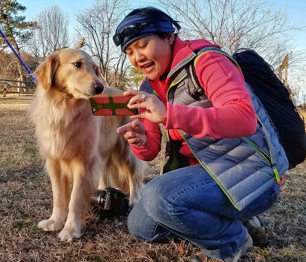 Keep Dogs Leashed and Respect Wildlife Distances (vastateparksstaff, Flickr, CC BY 2.0)