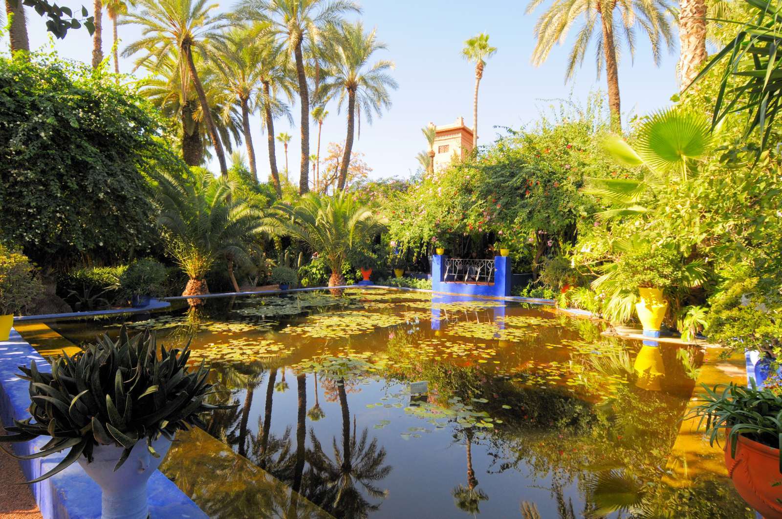 Jardin Majorelle, Marrakech, Morocco (Image Credits: Wikimedia)