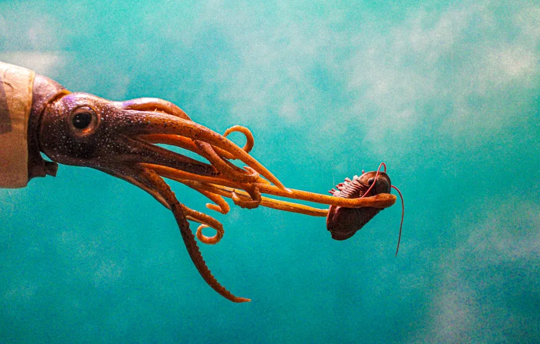 Giant Squid: The Kraken of the Deep (Image Credits: Unsplash)