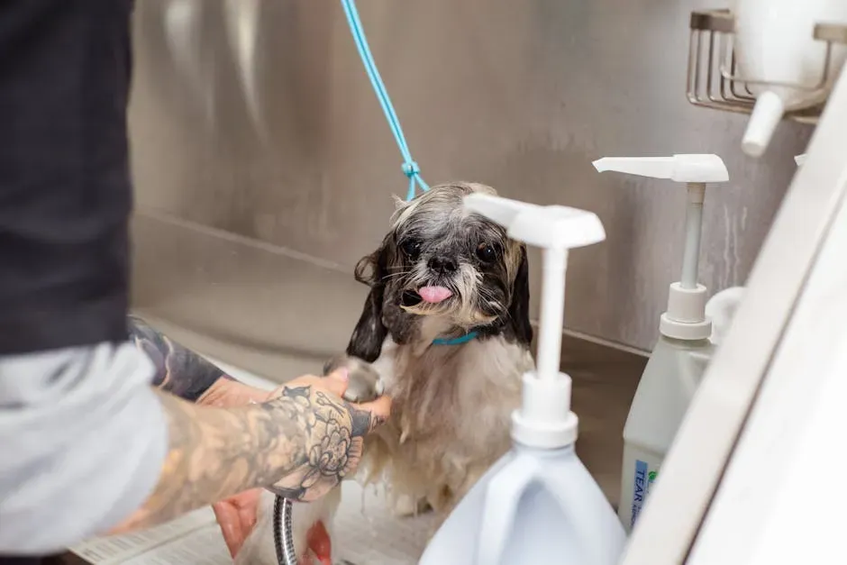 #5. You Give Your Dog a Bath When They Actually Need One (Image Credits: Pexels)