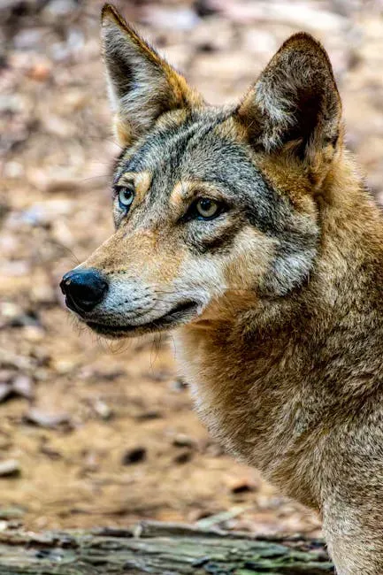 North Carolina's Alligator River: The Last Wild Home (Image Credits: Pexels)