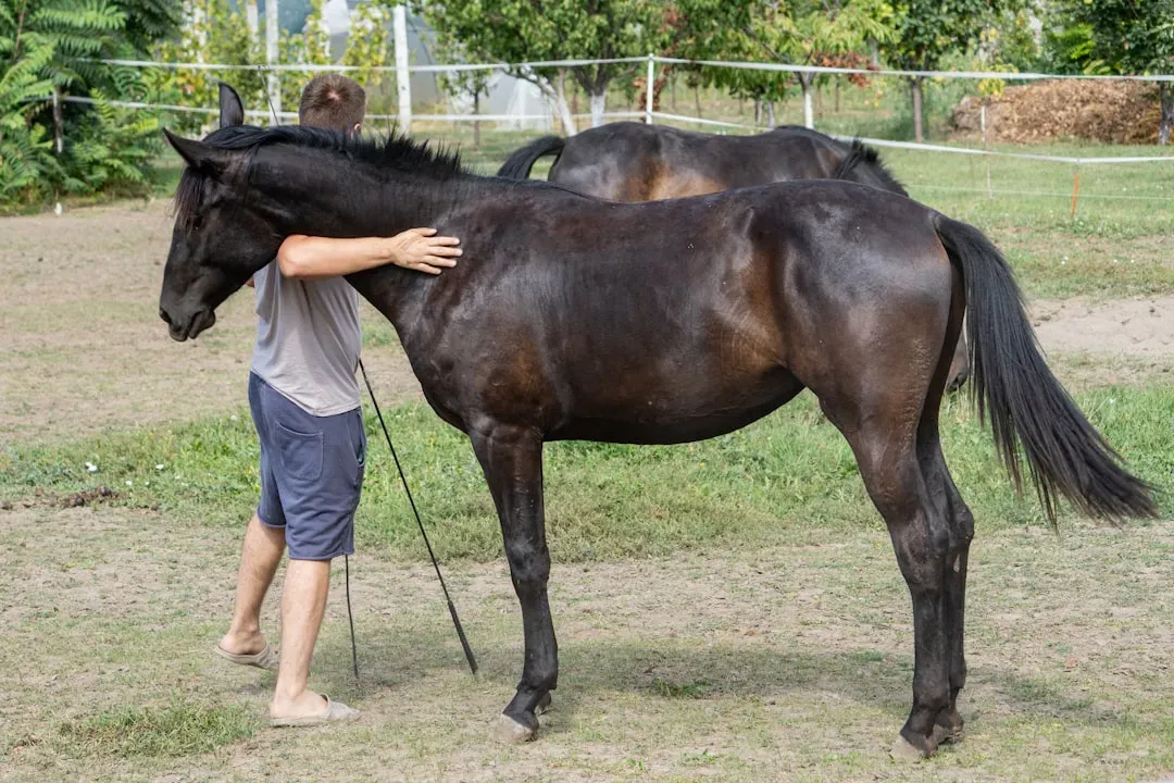 The Gentle Nudge and Returned Grooming (Image Credits: Unsplash)