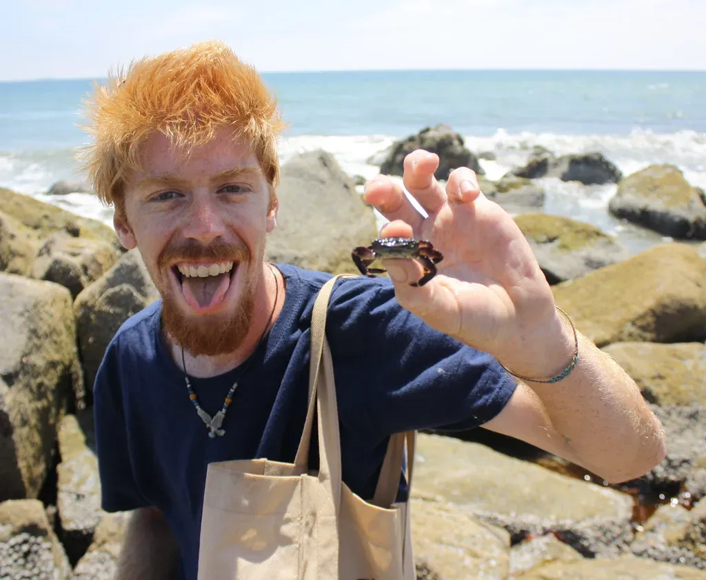 Cancer: The Ultimate Beach Dweller (Image Credits: Flickr)