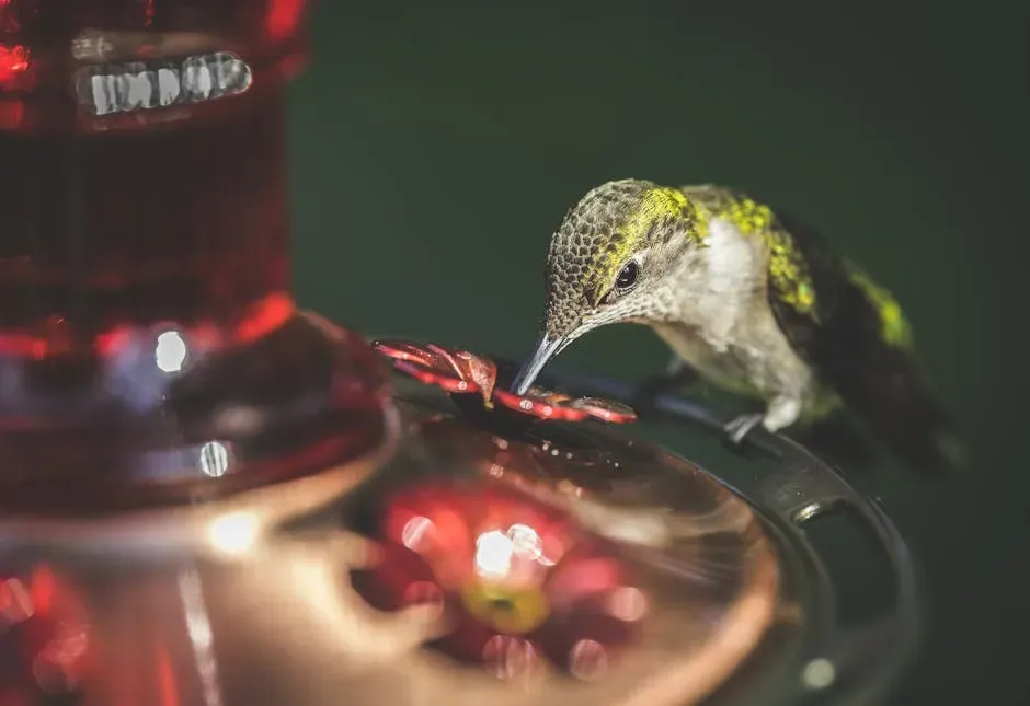Letting Nectar Sit Too Long in Summer Heat (Image Credits: Pexels)