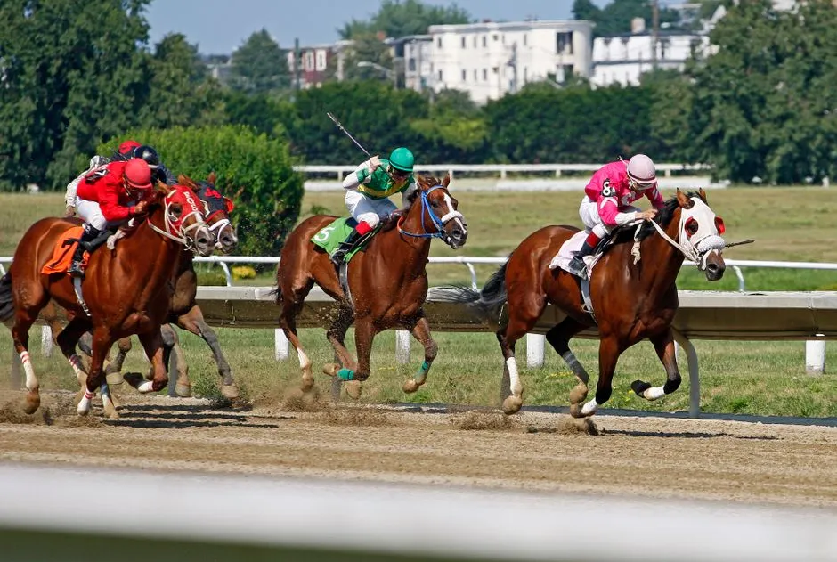 #22 - Thoroughbred: The Ex-Racehorse Heartbreak (Image Credits: Pexels)