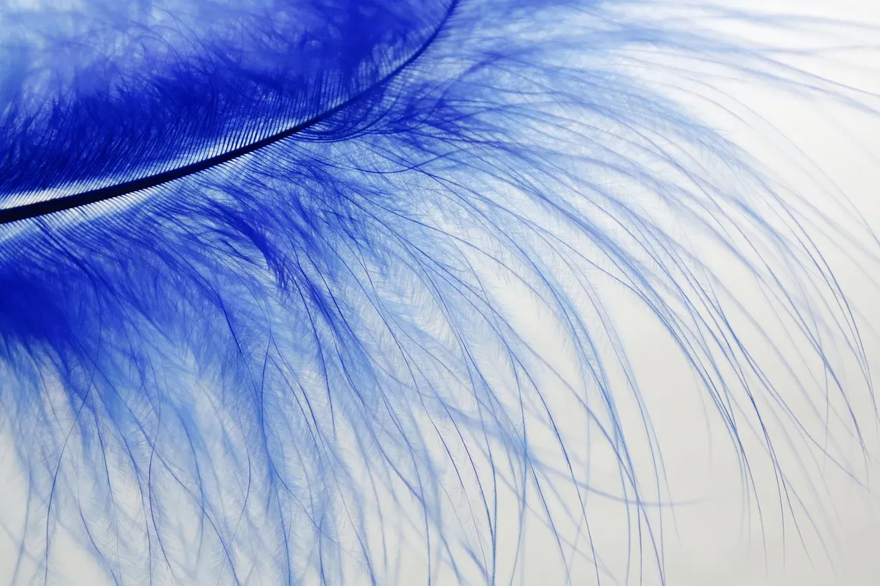 Virgo (August 22 &ndash; September 22): The Firebird (Zhar-Ptitsa) (Image Credits: Pixabay)