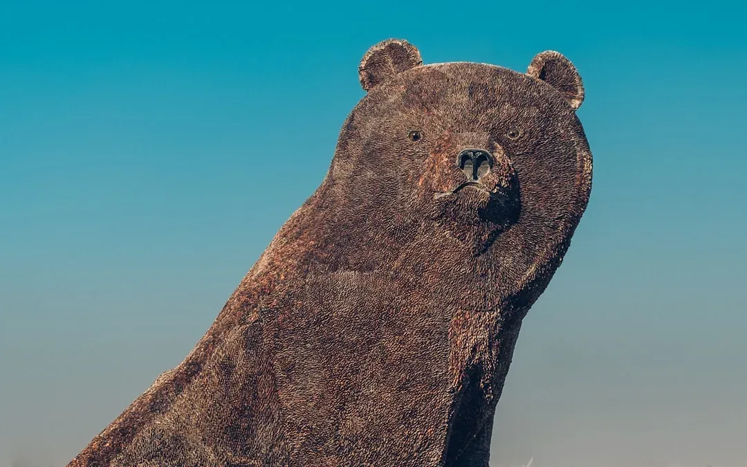 The Bear as a Symbol of Strength and Power (Image Credits: Unsplash)