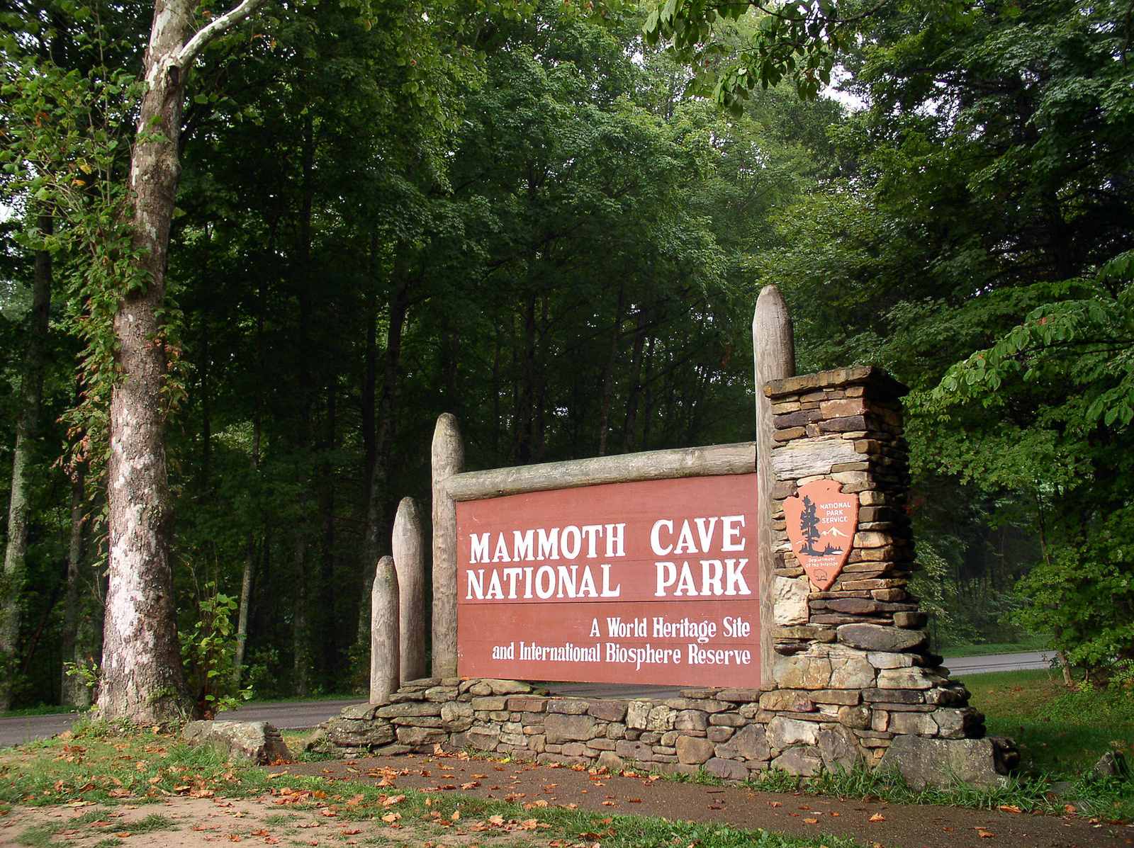 Mammoth Cave, Kentucky: The World's Longest Underground Labyrinth (Image Credits: Wikimedia)