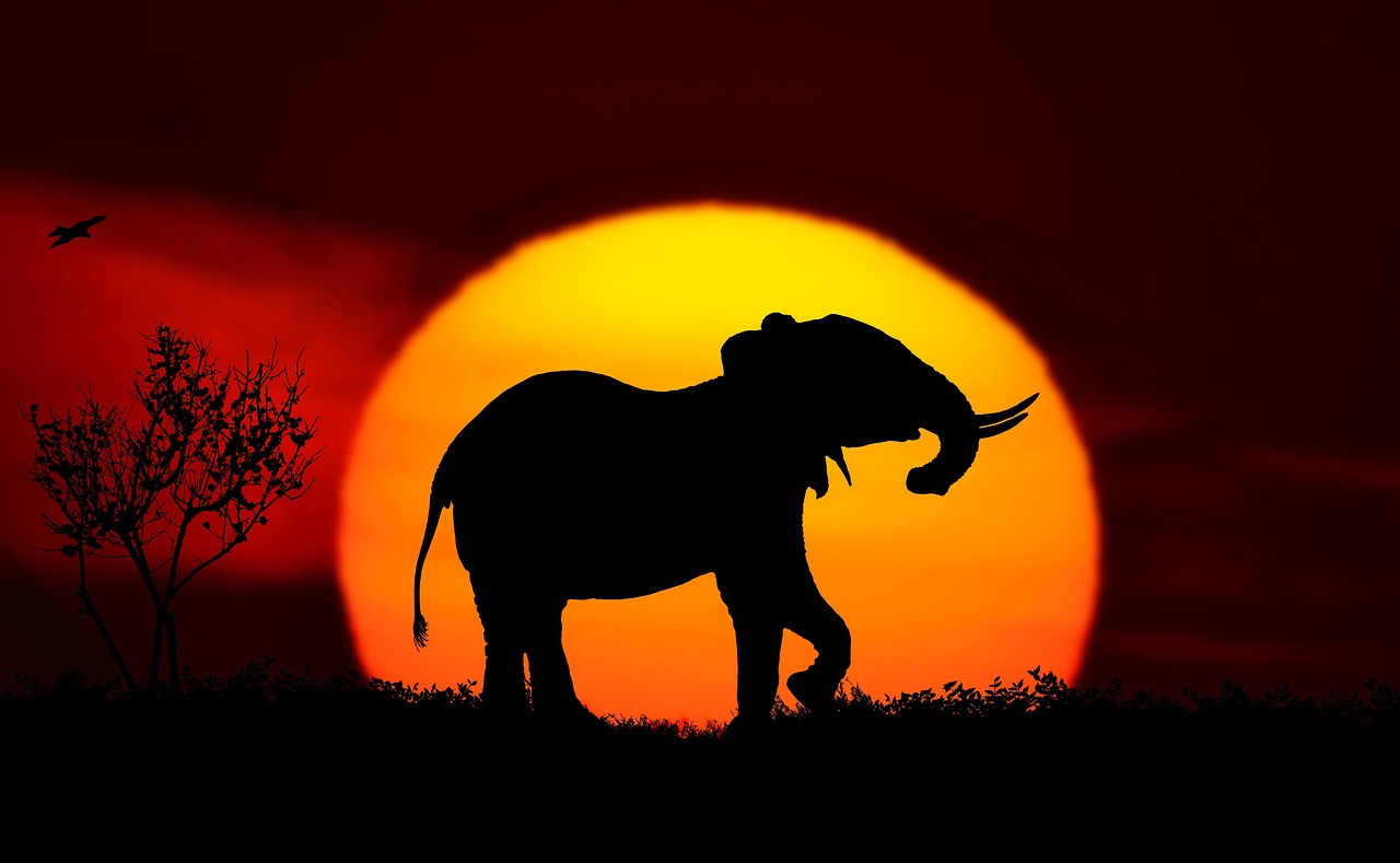 Conclusion (Image Credits: Pixabay)