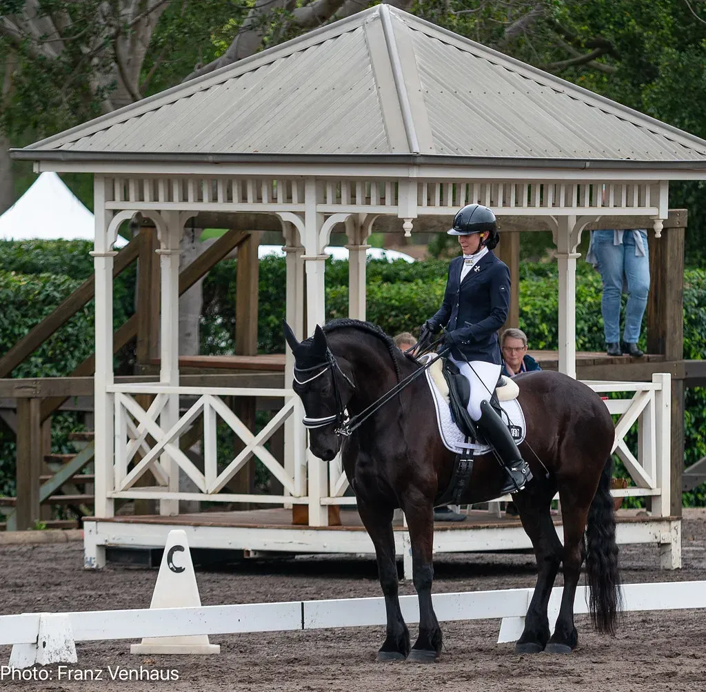 Leo and the Friesian (Image Credits: Flickr)