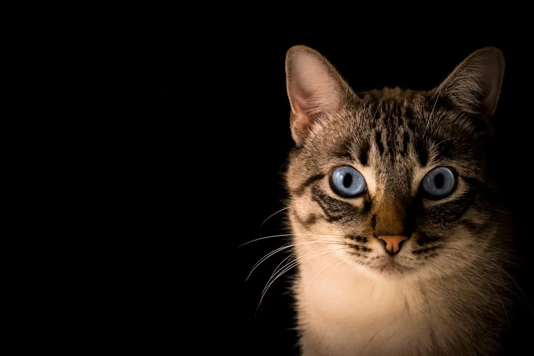 #4 - Hunting Invisible Prey in the Dark (Image Credits: Unsplash)