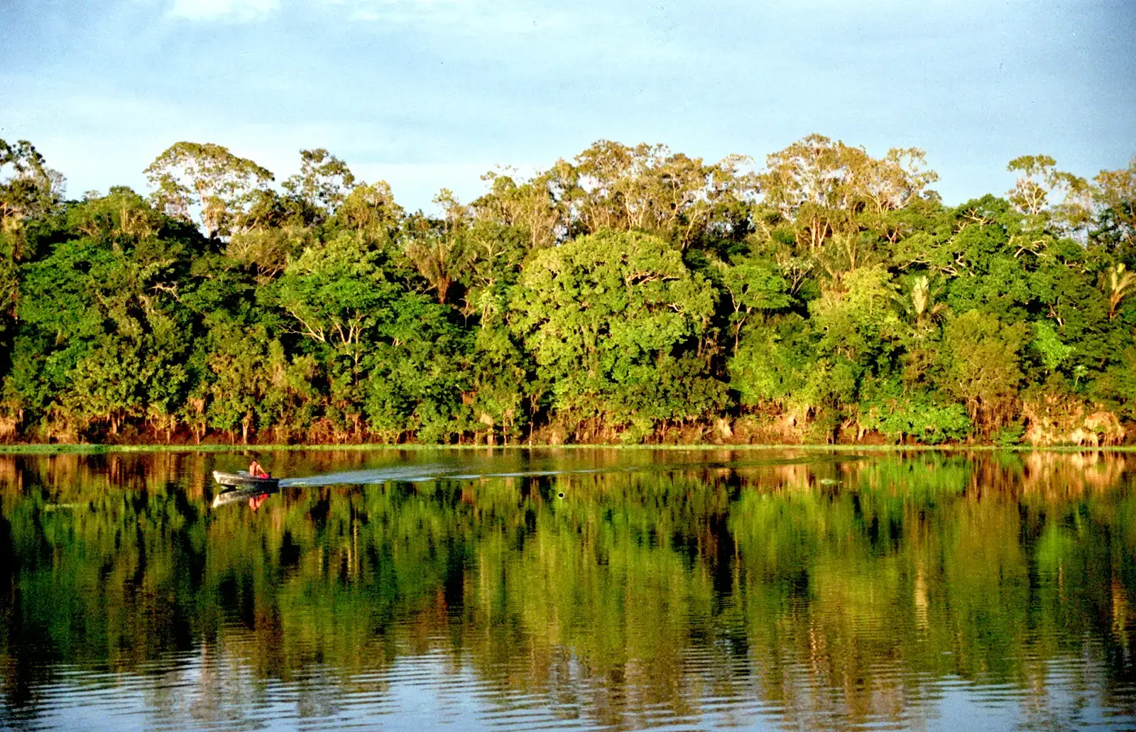 The Amazon Rainforest's Breathtaking Ecosystems (Image Credits: Wikimedia)