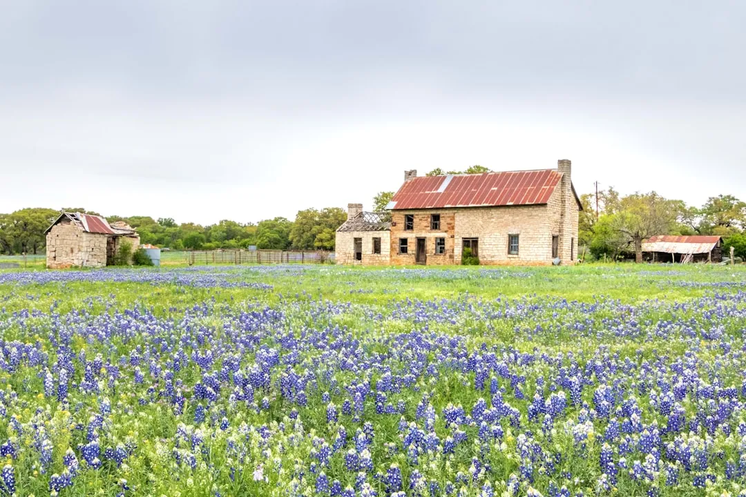 #18 - Fredericksburg, Texas: The Wine-Country Stop That Swallows a Week (Image Credits: Unsplash)
