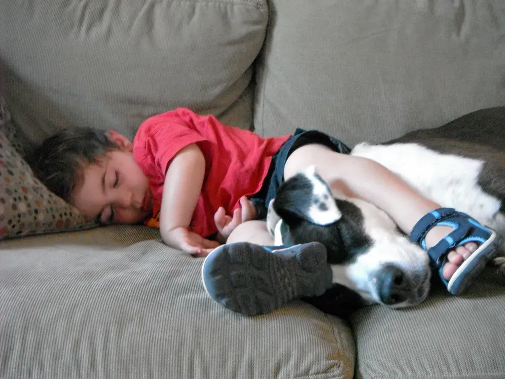 Pit Bulls Love Children and Can Be Wonderful Family Dogs (Image Credits: Flickr)