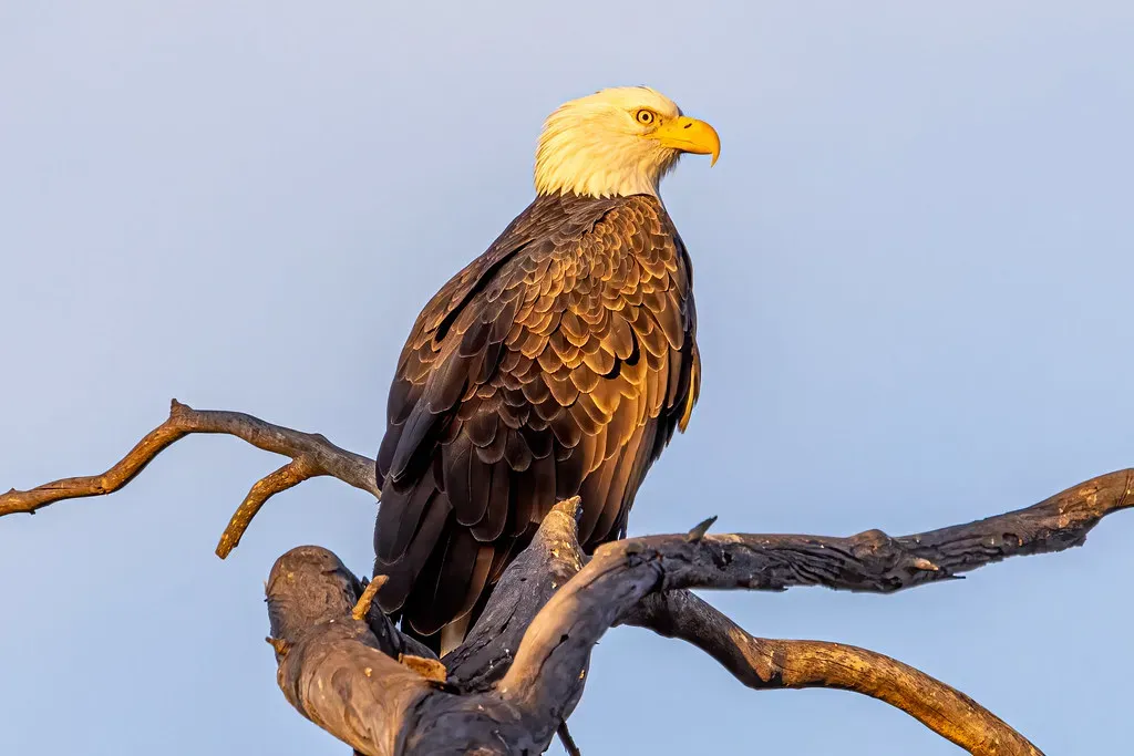 8. California: A Quiet and Steady Climb (morrisonbrett, Flickr, CC BY 2.0)