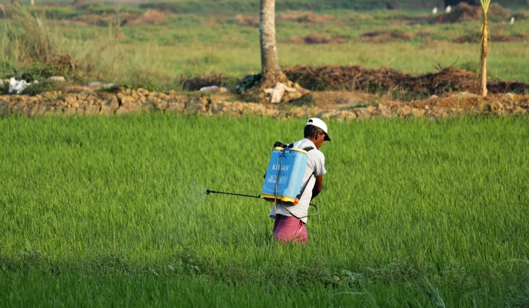#9 - Treating Pests and Disease as an Afterthought (Image Credits: Unsplash)