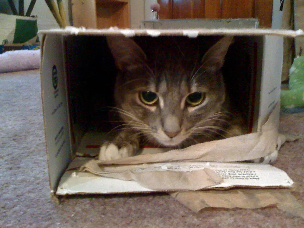 #2 - Hiding in New, Strange Places (lori.b, Flickr, CC BY-SA 2.0)