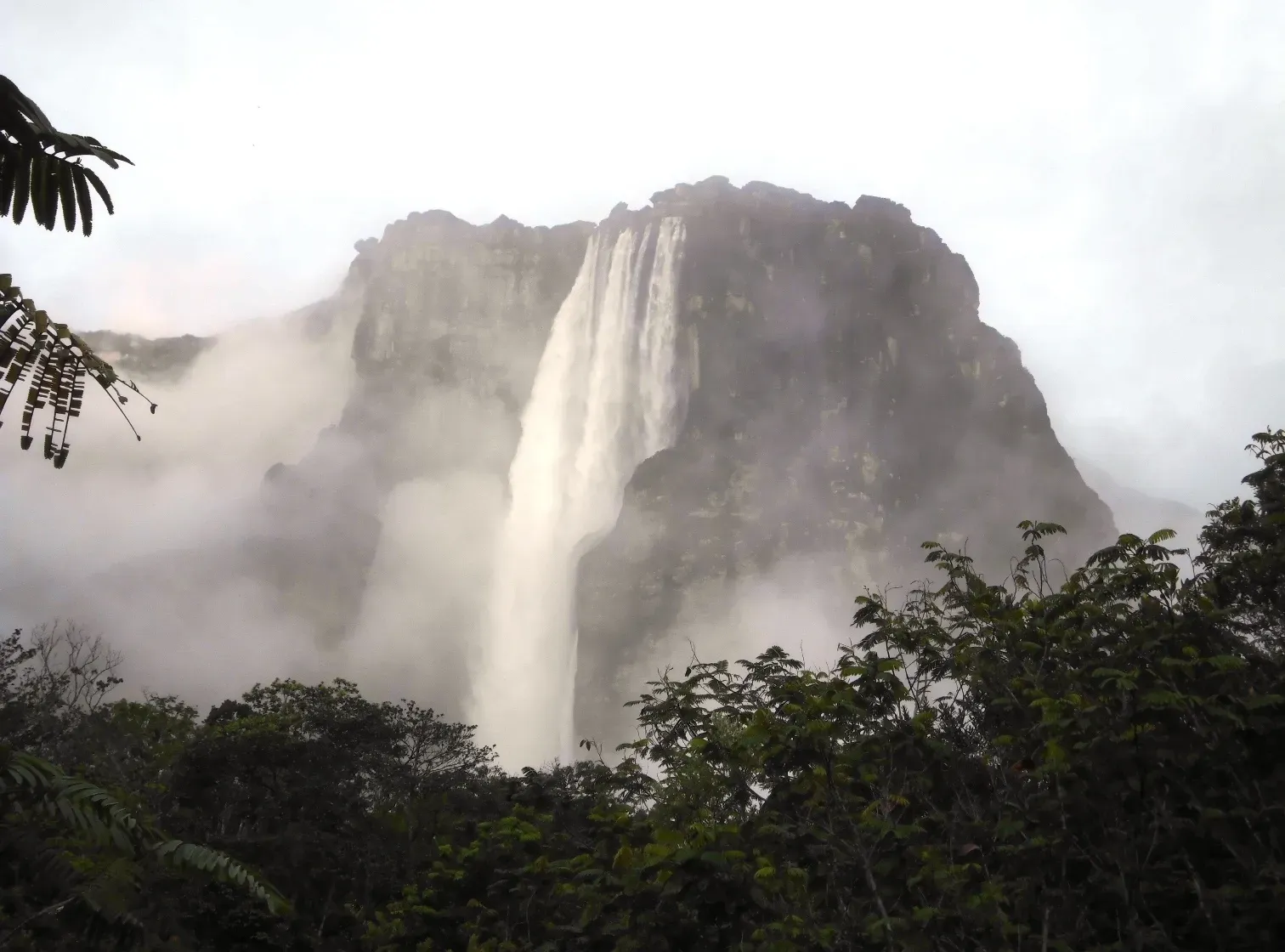 Angel Falls, Venezuela: Where Water Falls from the Sky (Image Credits: Wikimedia)