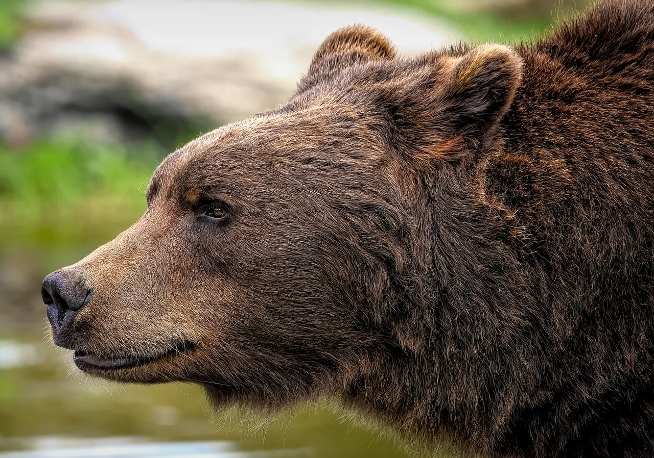 The Risk–Reward Trade-Off Favors Returning (Image Credits: Pixabay)