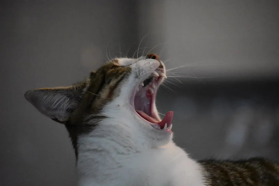 Communicating Through Unusual Vocalizations (Image Credits: Unsplash)