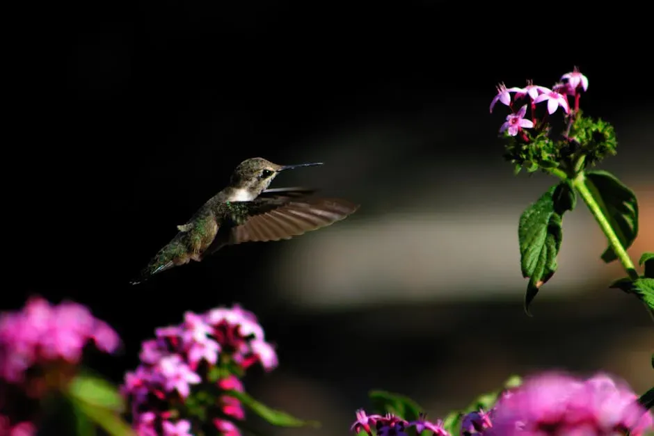 #7. They Begin Flying Lower and Scanning the Landscape More Carefully (Image Credits: Pexels)