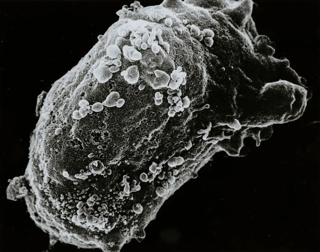 8. The Tardigrade's Near-Indestructible Cryptobiosis (Image Credits: Unsplash)