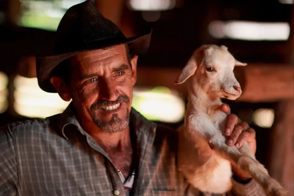 #2 - Goats (Image Credits: Pexels)